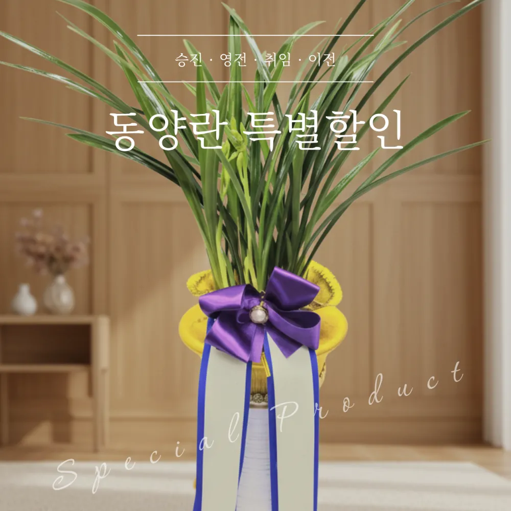 동양란 화분